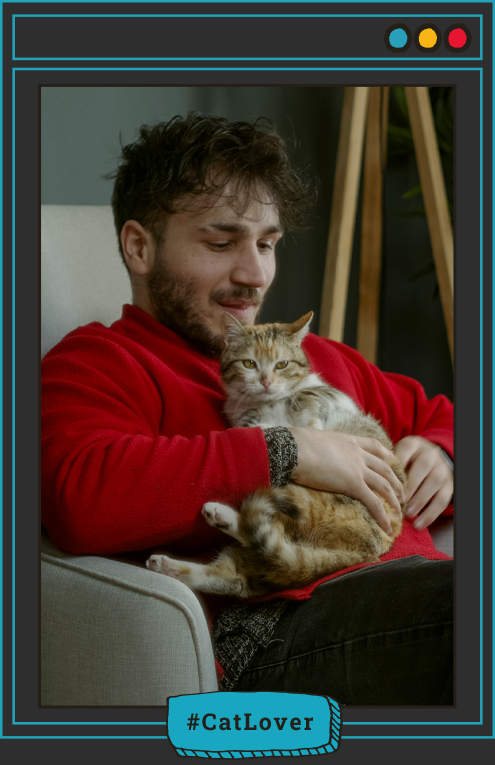  cómo hacer que mi gato me quiera más
